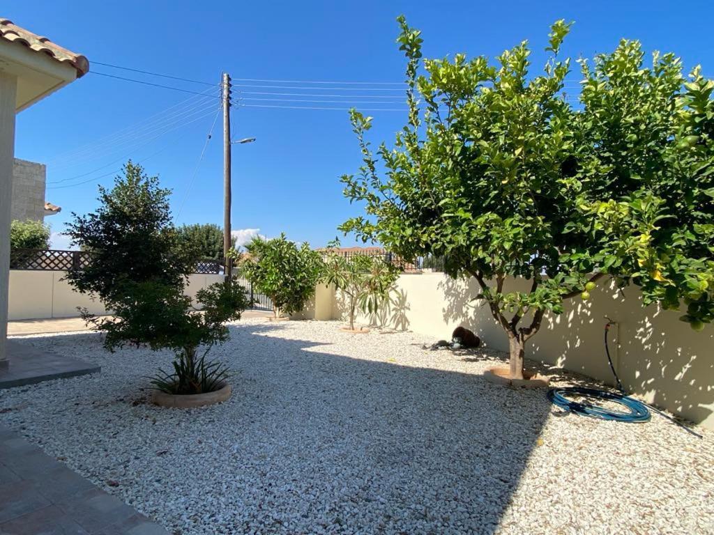 Villa Trachonas Pissouri Exterior photo